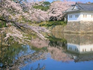 小田原城址公園の写真４