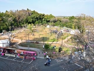 飯山白山森林公園の桜写真1