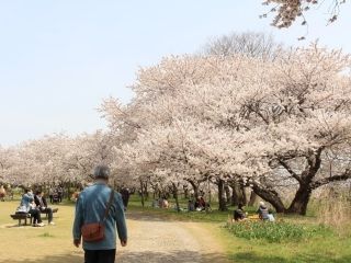 県立鳥屋野潟公園（鐘木地区）の写真３