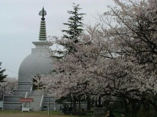 秋葉公園の写真３