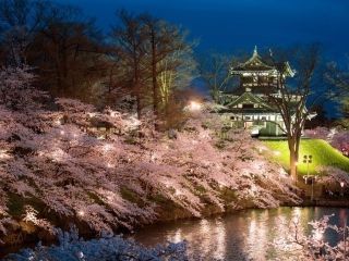 高田城址公園の桜写真２