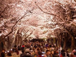 高田城址公園の写真４
