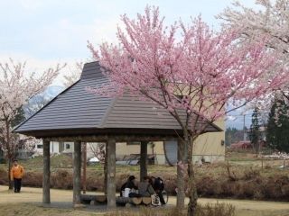 松ヶ峯の写真３