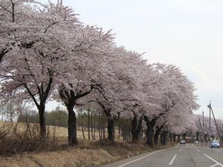 松ヶ峯の写真４