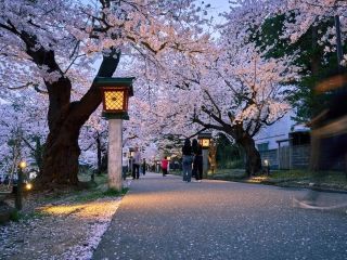 弥彦公園の写真３