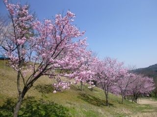 城ヶ山公園の写真3