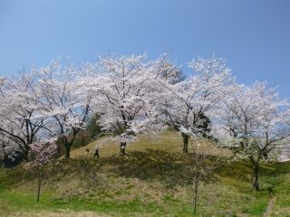 城ヶ山公園の写真4