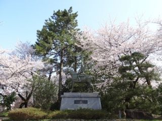 高岡古城公園の写真４