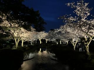 兼六園の写真４