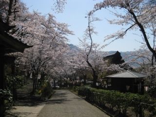 花筐公園の写真４