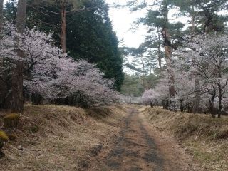 富士山吉田口登山道中ノ茶屋エリアの写真３