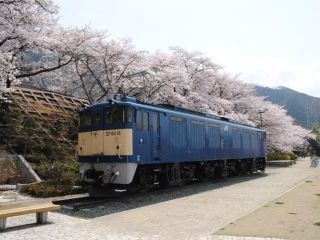 甚六桜公園の写真４