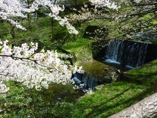 養老公園の写真３