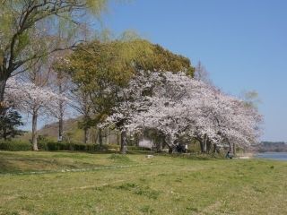 佐鳴湖公園の写真３