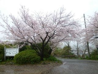 香貫山の写真４