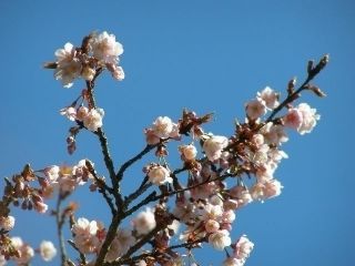 熱海市姫の沢公園の写真４