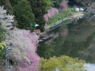 野守の池の写真3