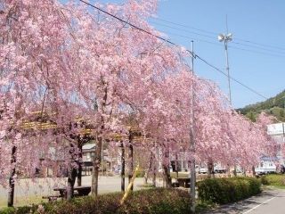 野守の池の写真4