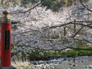 松崎町那賀川沿い・富士見彫刻ラインの写真３