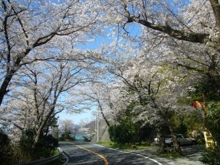 松崎町那賀川沿い・富士見彫刻ラインの写真４