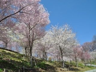 東山動植物園の写真３