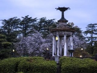 鶴舞公園の写真３