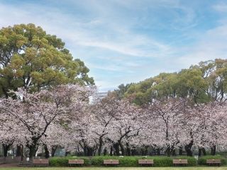 鶴舞公園の写真４