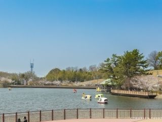 鞍ケ池公園の桜写真１