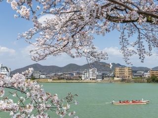 国宝犬山城と木曽川遊歩道の写真３