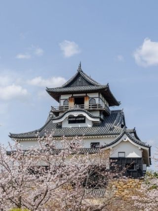 国宝犬山城と木曽川遊歩道の写真４