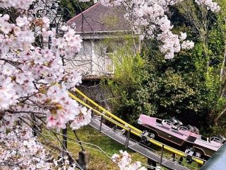 日本モンキーパークの写真3