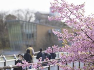 二ツ池公園の写真３