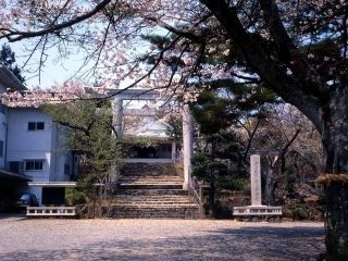 樋の山の桜写真２