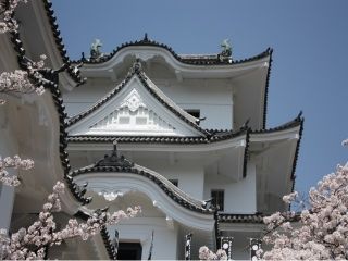 上野公園の写真３