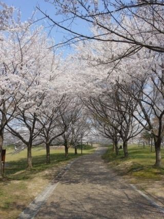 じゅらくの里の写真３