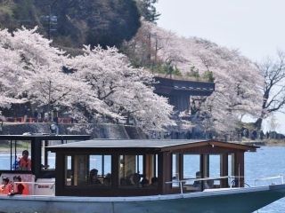 海津大崎の写真３