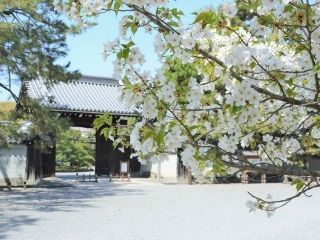 京都御苑の写真３