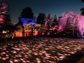 高台寺の写真３