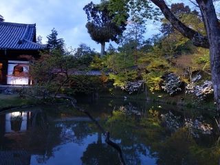 高台寺の写真４