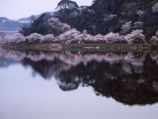 離湖公園の写真3