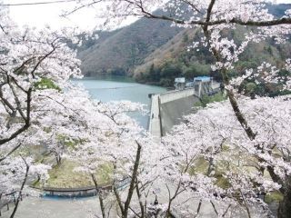 大野ダム公園の写真３