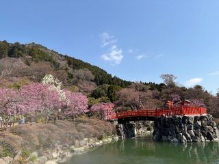 勝尾寺の写真３