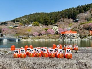 勝尾寺の写真４