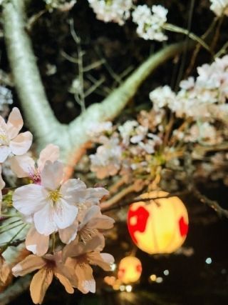 山中渓の写真３