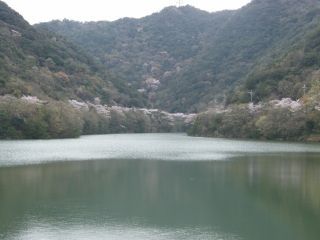 永楽ダムの写真3