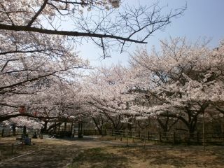 永楽ダムの写真4