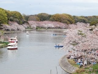 明石公園の写真３