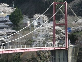 月ヶ瀬湖畔の写真3