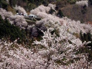 七越峯の写真３