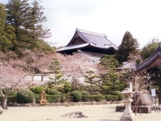 粉河寺の写真４